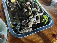 -新湖烧鸡(光明店)