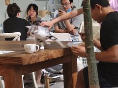 -吉丁鸟咖·异宠·寄养