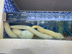 -欧记·龙城港(欣都龙城店)