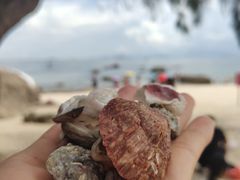 -玫瑰海岸文化旅游度假区