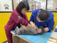 -瑞派·爱瑞可动物医院·口腔专科(广华新城分院)