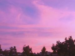 -武汉紫薇都市田园