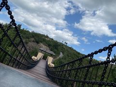 -五龙城郊森林公园