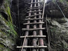 -鹿院坪生态旅游景区
