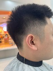 -东方麒麟·潘多拉SALON