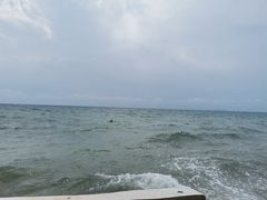 -贝壳沙滩