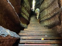 -梭布垭石林景区