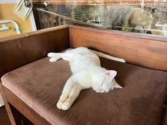 -宝盛园民宿