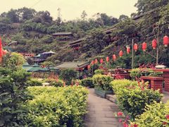 -枇杷园食为鲜火锅(南山店)