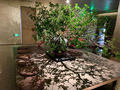 -隐溪茶馆(静安寺店)