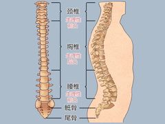 -康富堂推拿理疗·经络按摩·对症调理(汇港店)