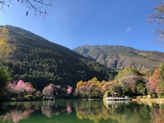 -蝴蝶泉公园