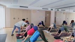 -酉嘉瑜伽YO+YOGA