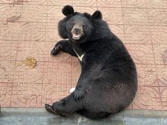 -西霞口神雕山野生动物世界