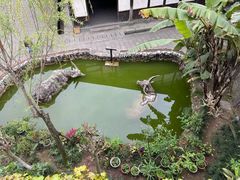 -燊海井
