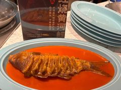 -阿五黄河大鲤鱼(英协路店)