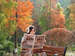 -重庆彩云湖湿地公园