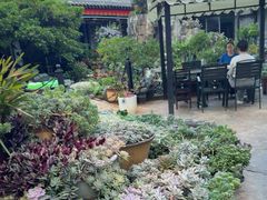 -山菌美食苑(振兴路店)