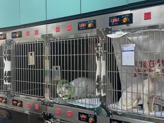 -睿金宠物医院·CT·肿瘤·骨外科