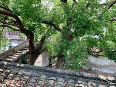 -观桥阁(锦溪店)