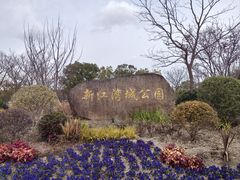 -新江湾城公园
