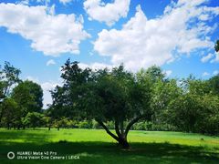 -承德避暑山庄景区