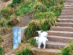 -东极岛景区