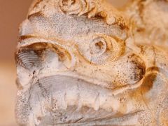 -甲王二老长沙口味馆