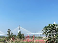 -芒洲湿地公园