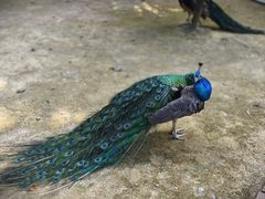 -杭州野生动物世界