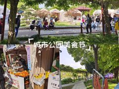 -嘉定紫藤园