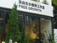 -自由生长植物工作室(深港花卉中心店)