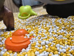 -卡通尼·Safari非洲探索乐园·生日会(金桥国际商业广场店)