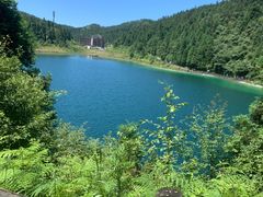 -武陵山森林公园