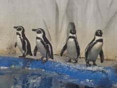 -太平洋海底世界