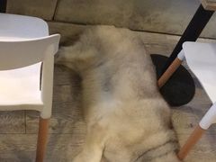 -小时光咖啡馆(北锣鼓巷店)