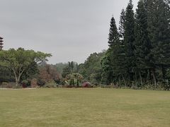 -深圳仙湖植物园
