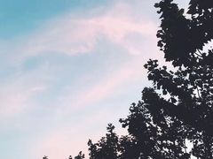 -上海德威外籍人员子女学校(浦东校区)