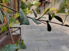 -回龙窝历史文化街区