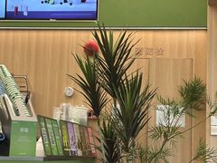 -万达广场(广州白云店)