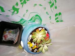 -晶宝温泉农庄
