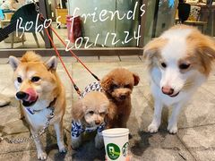 -星巴克(成都泛悦城市广场店)