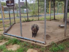 -武汉紫薇都市田园