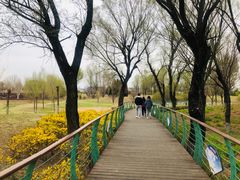 -潇河湿地公园