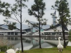 -盐城丹顶鹤湿地生态旅游区