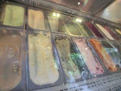 -莓园冰淇淋店