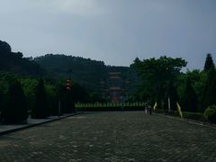 -大湾区中央湿地公园-十九涌