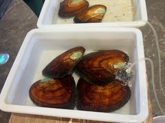 -十八字金·银饰·拼豆·开蚌DIY(魏公芳华里店)