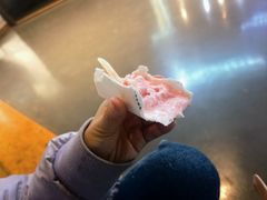 -野人牧坊Gelato(天津南开大悦城店)