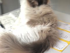 -灯塔咖啡馆BOOK·Coffee Shop